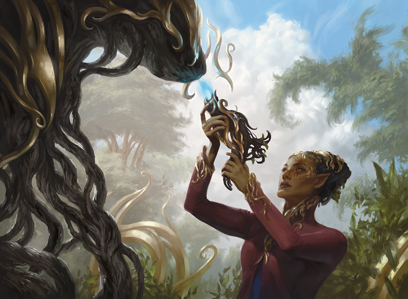 Architect of the Untamed, by Sara Winters